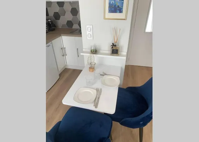 De Charme En Centre Appartement *